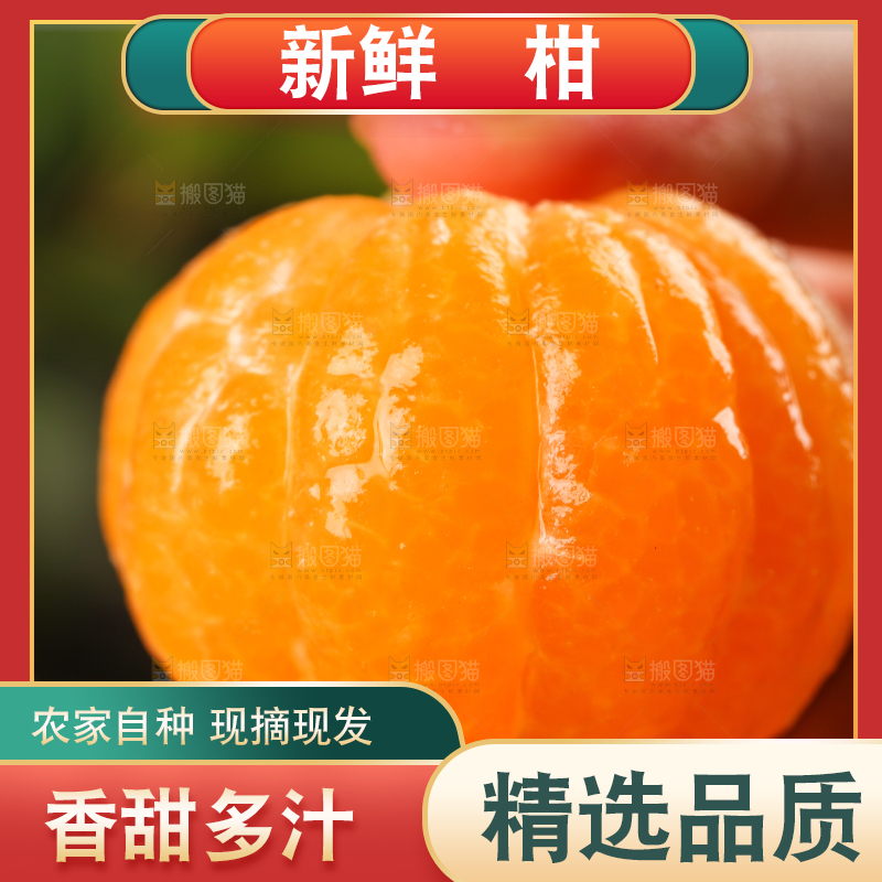 手里拿着芦柑