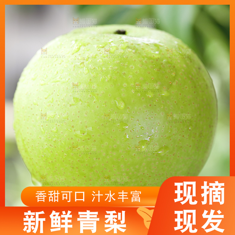 手拿砀山青皮皇冠梨