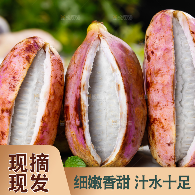 白底上摆放着八月瓜