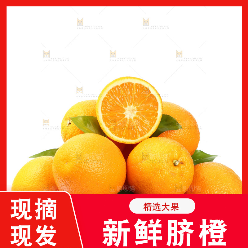 篮子里放着甜橙
