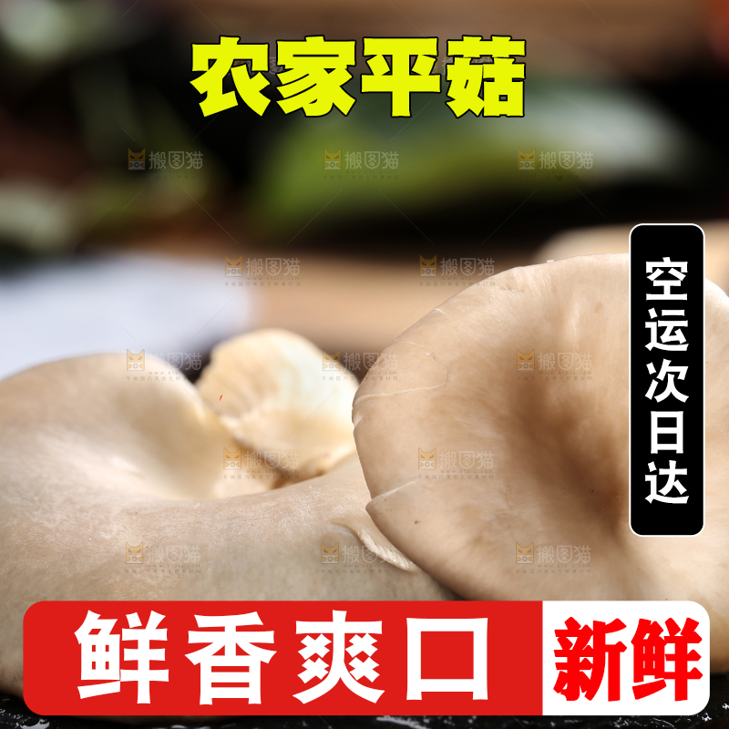 黑底上摆放着平菇