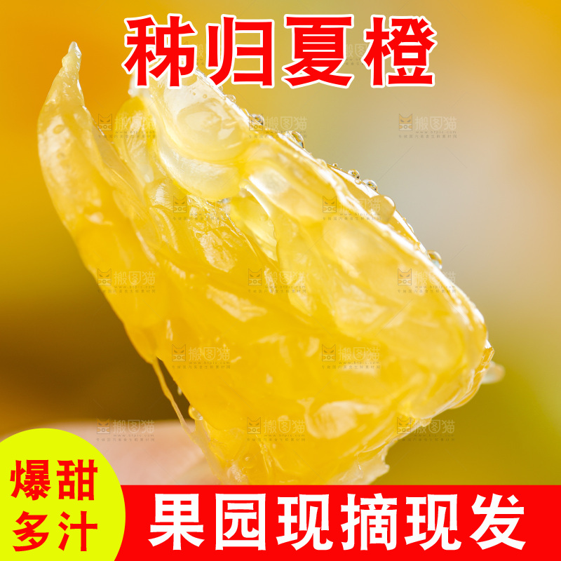 手拿夏橙果肉