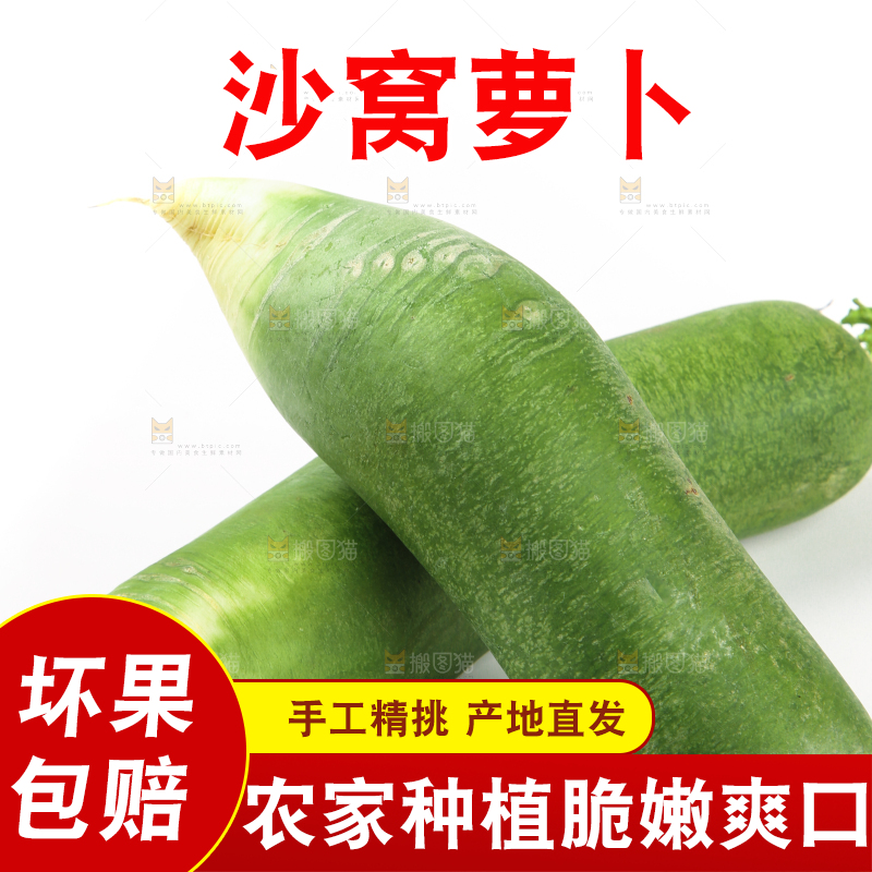 白底上摆放着绿心萝卜