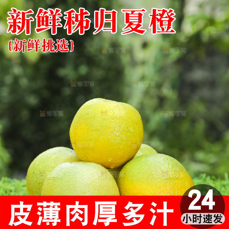 草地上放着一盘秭归夏橙