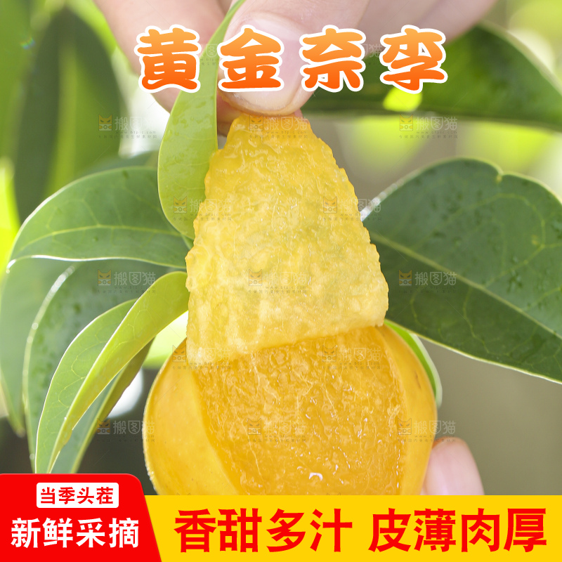 手拿剥皮的黄金奈李