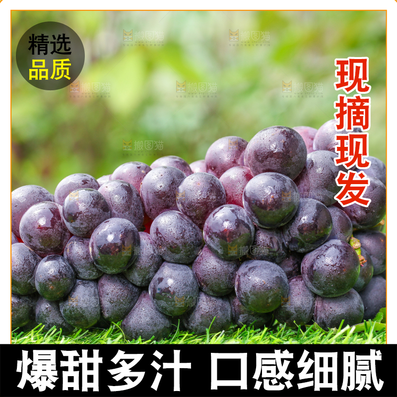 草地上的新鲜葡萄