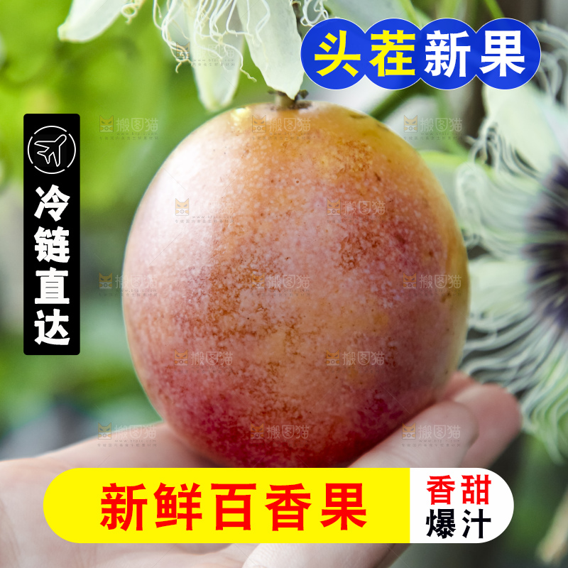 树上的百香果