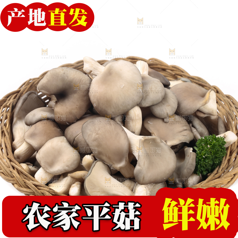 篮子里装着平菇
