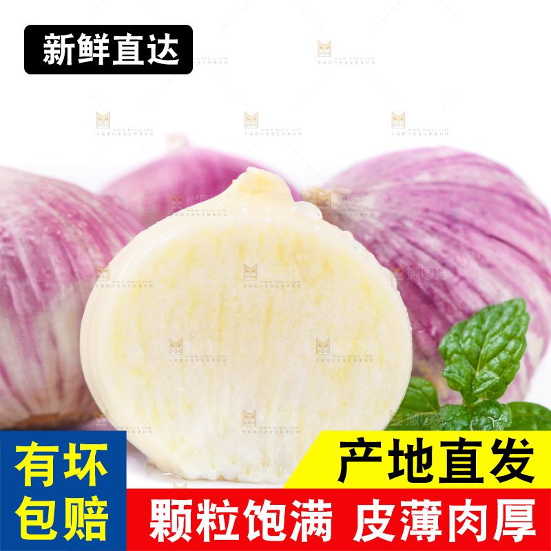 独头蒜主图