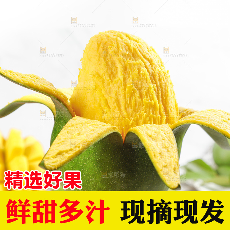 凯特芒主图