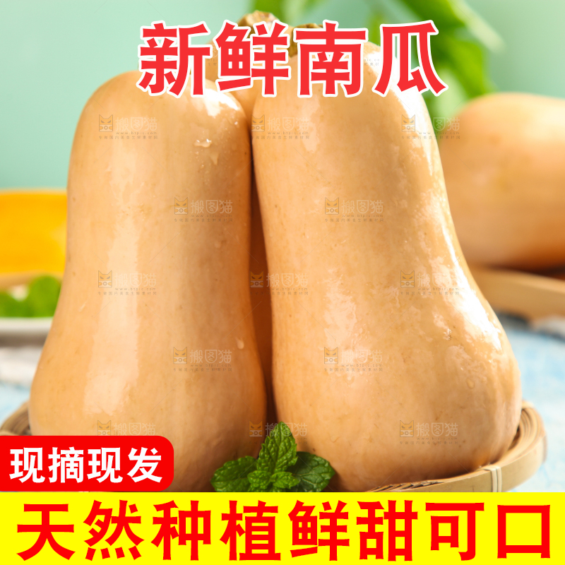 蓝底上放着一盘奶油南瓜