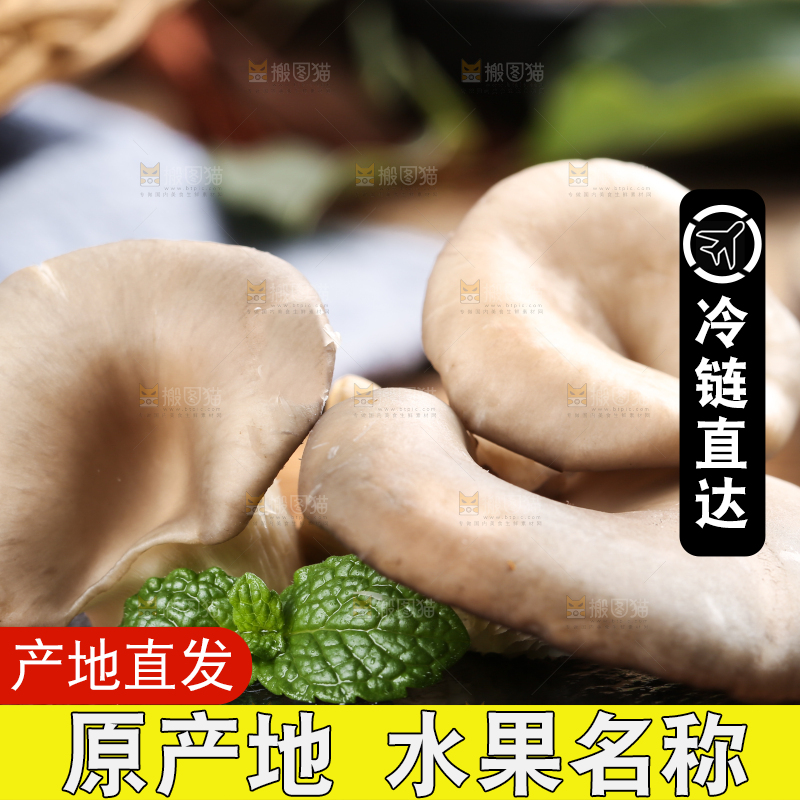 黑底上摆放着平菇