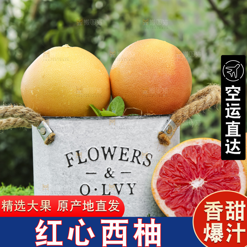 草地上放着一桶切开南非红心西柚