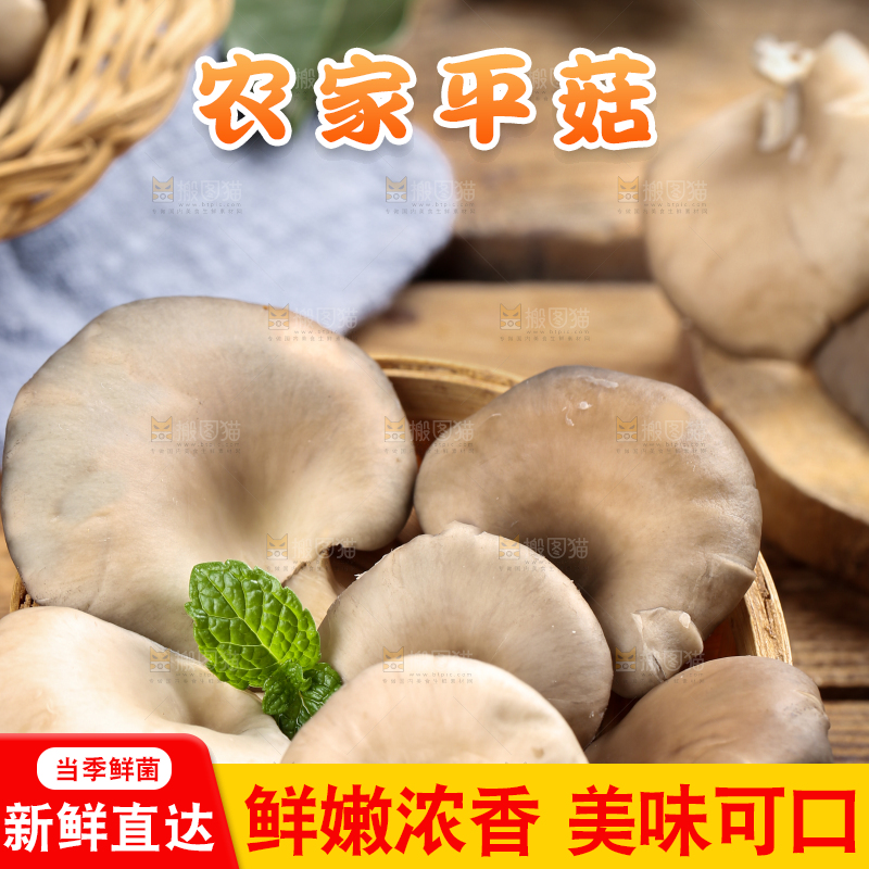 篮子里装着平菇
