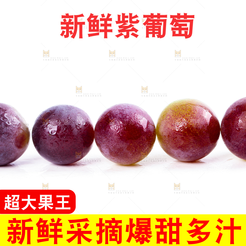 白底上的新鲜巨峰葡萄