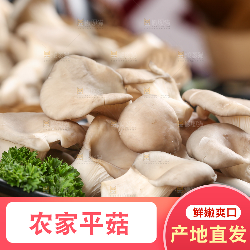 盘子里装着平菇