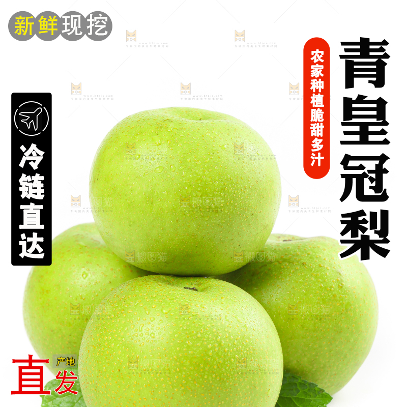 白底上的砀山青皮皇冠梨