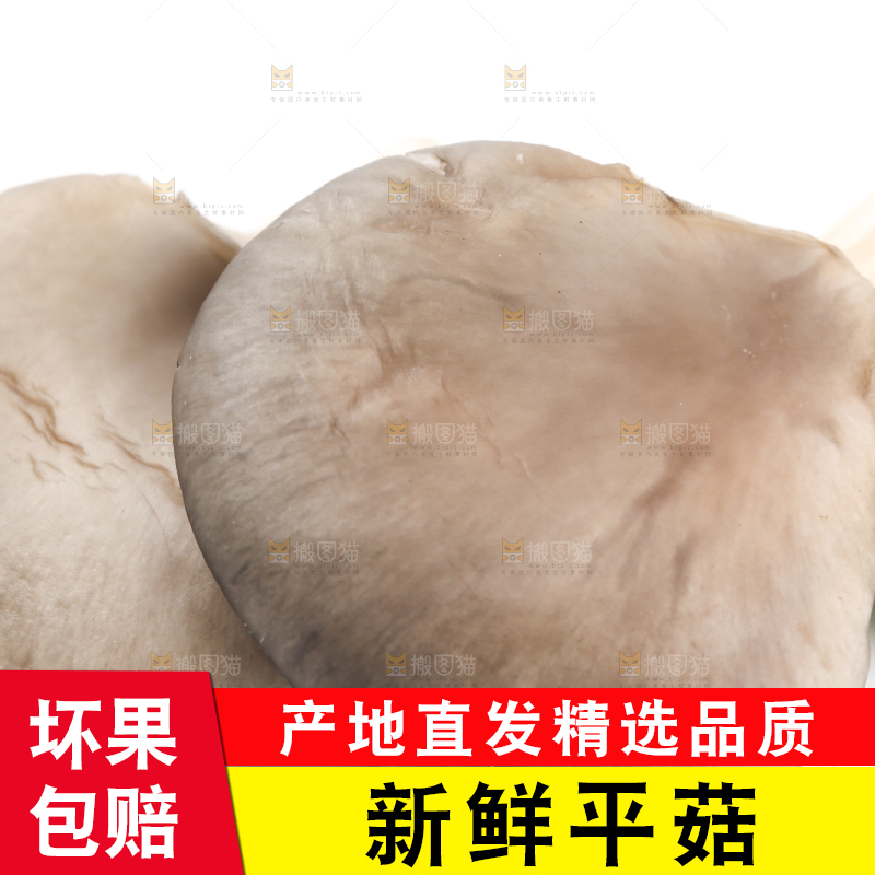 白底上放着平菇
