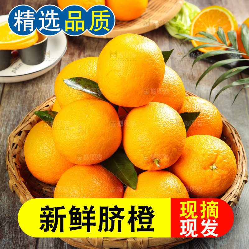 篮子里放着甜橙