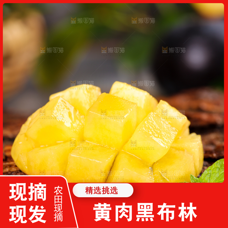 木底上的智利黄肉黑布林