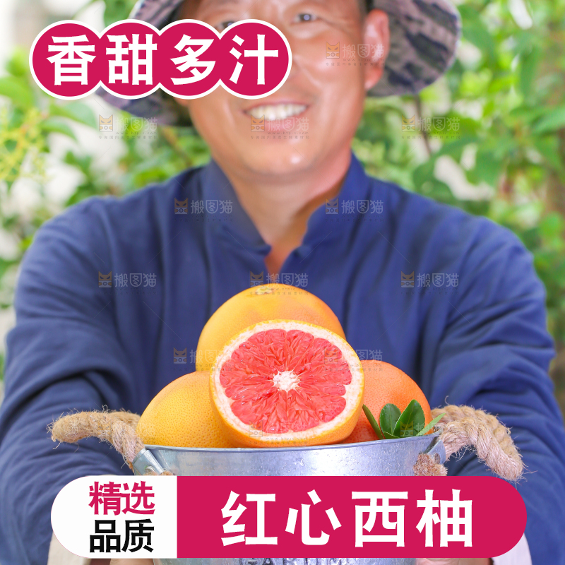 农民手里拿着切开的南非红心西柚