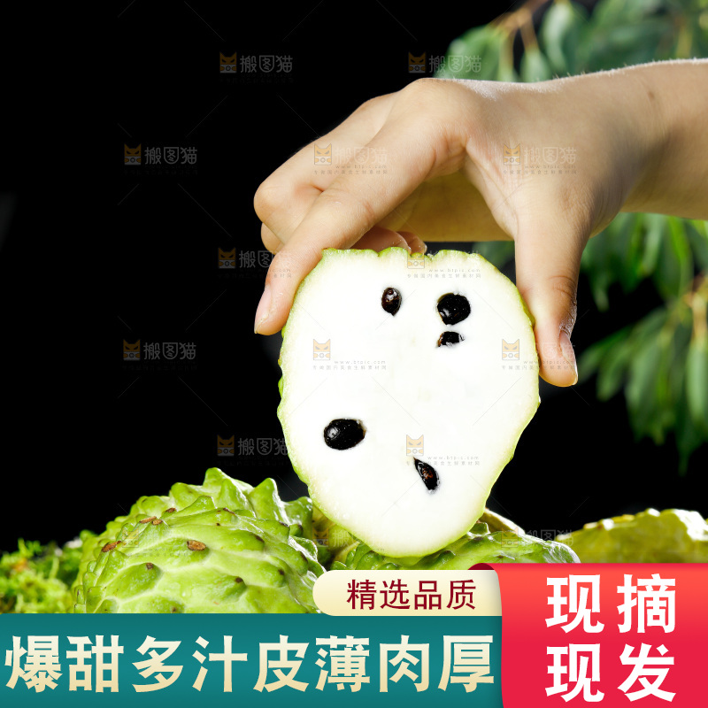 手里拿着释迦果