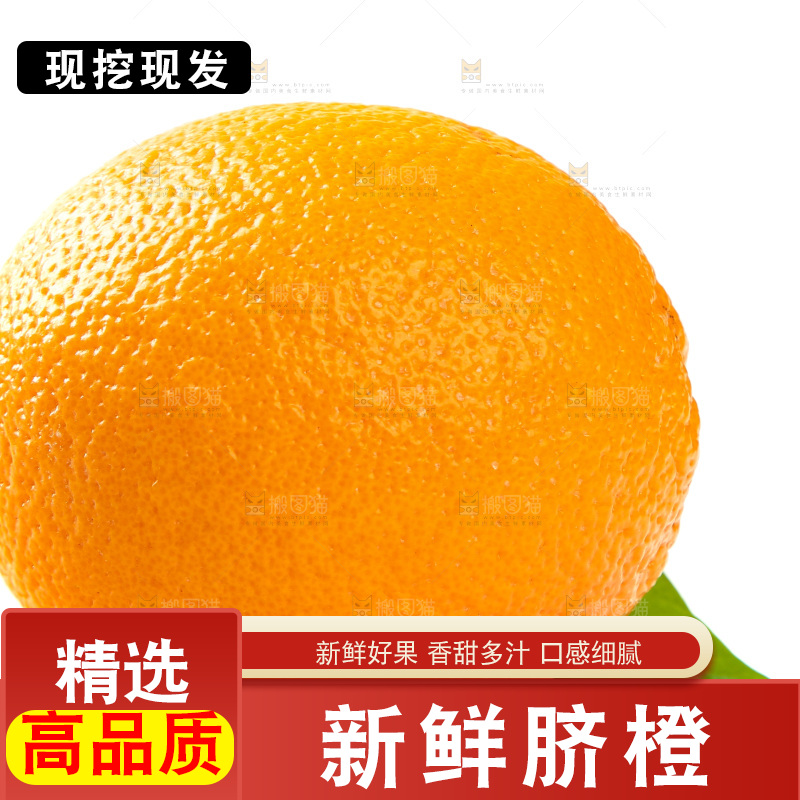白底上摆放着橙子