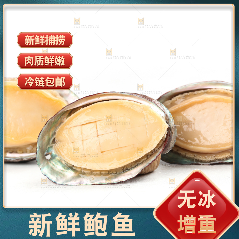 白底上放着新鲜剥开的鲜鲍鱼