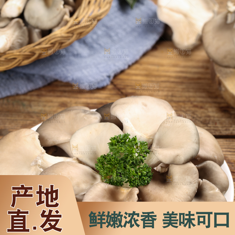盘子里装着平菇