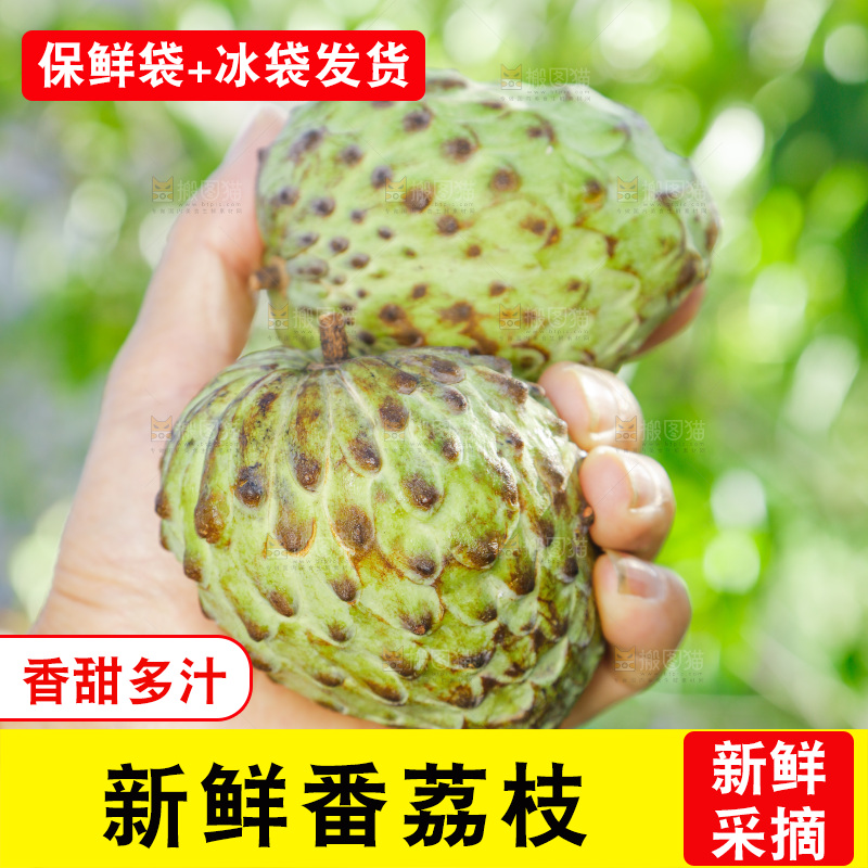 手里拿着释迦果