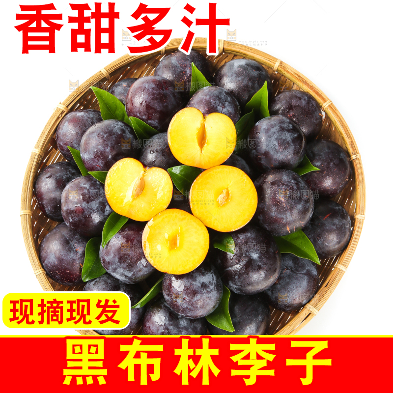 白底上手端一盘切开的黑布林