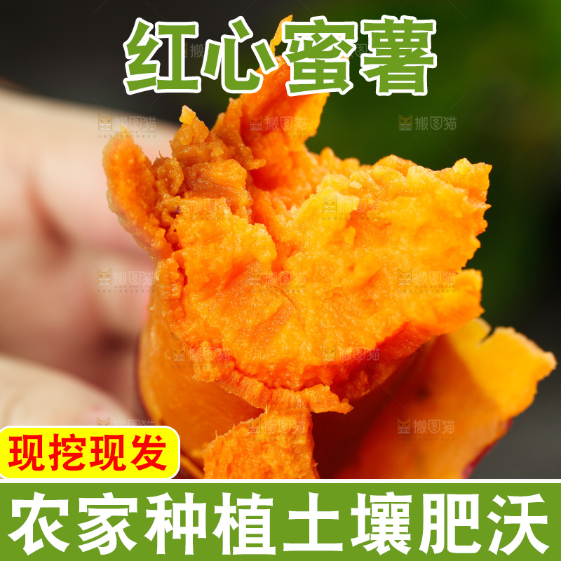 手里拿着红蜜薯