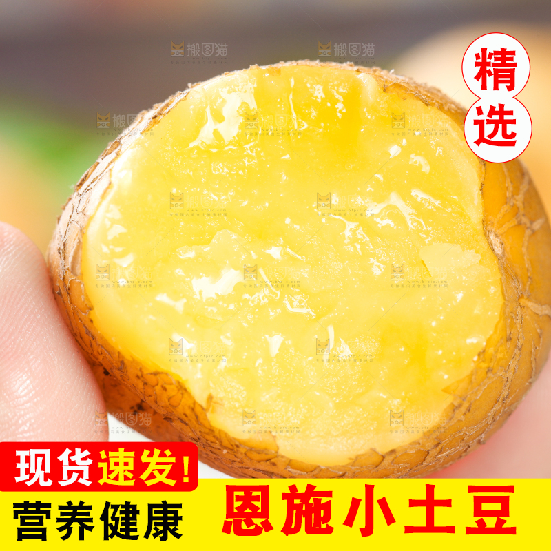 手拿黄心熟土豆