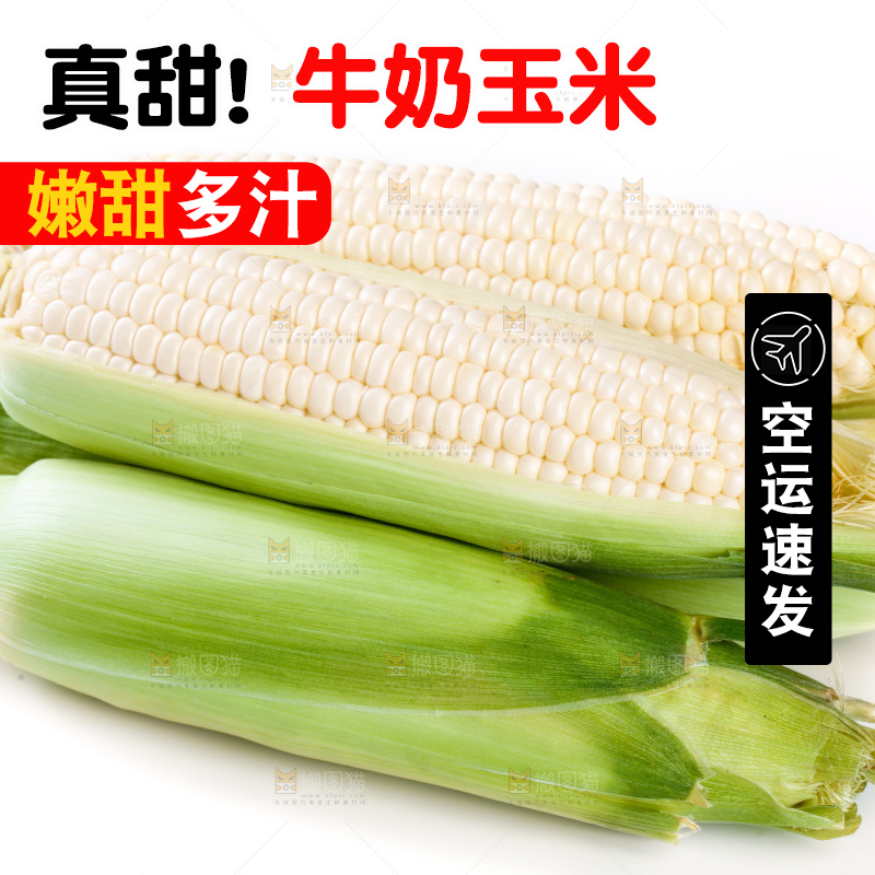 白底上放着牛奶玉米