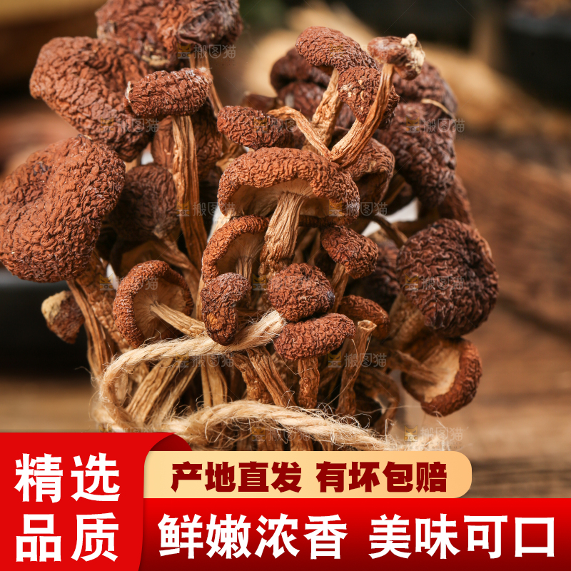 木底上放着茶树菇