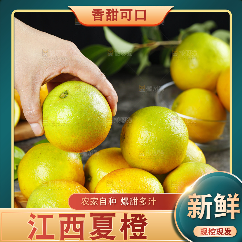 手拿夏橙