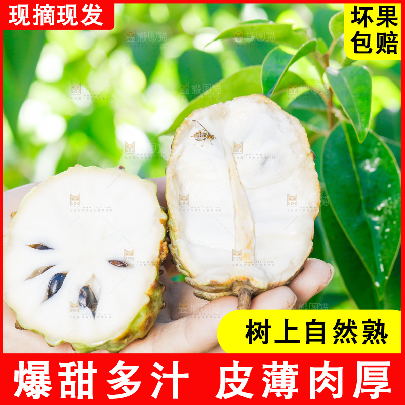 手里拿着释迦果