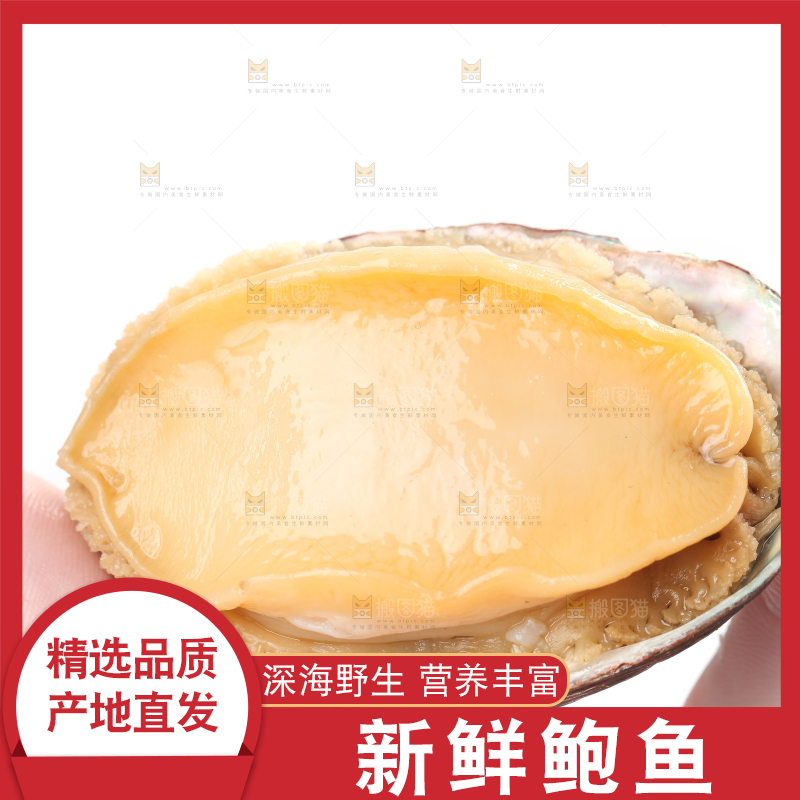 手拿鲍鱼