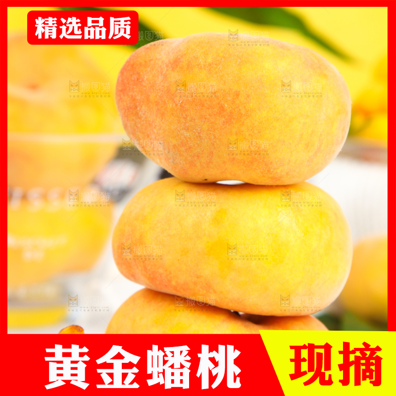 石板上的黄金扁桃
