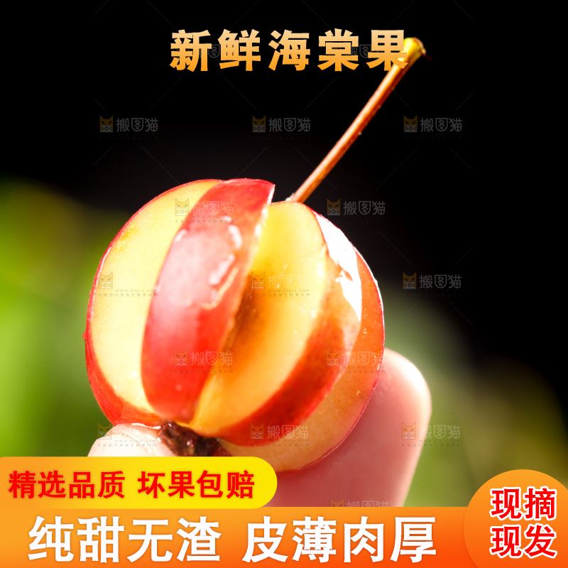 手拿海棠果