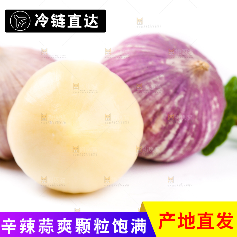 白底上摆放着紫皮独蒜