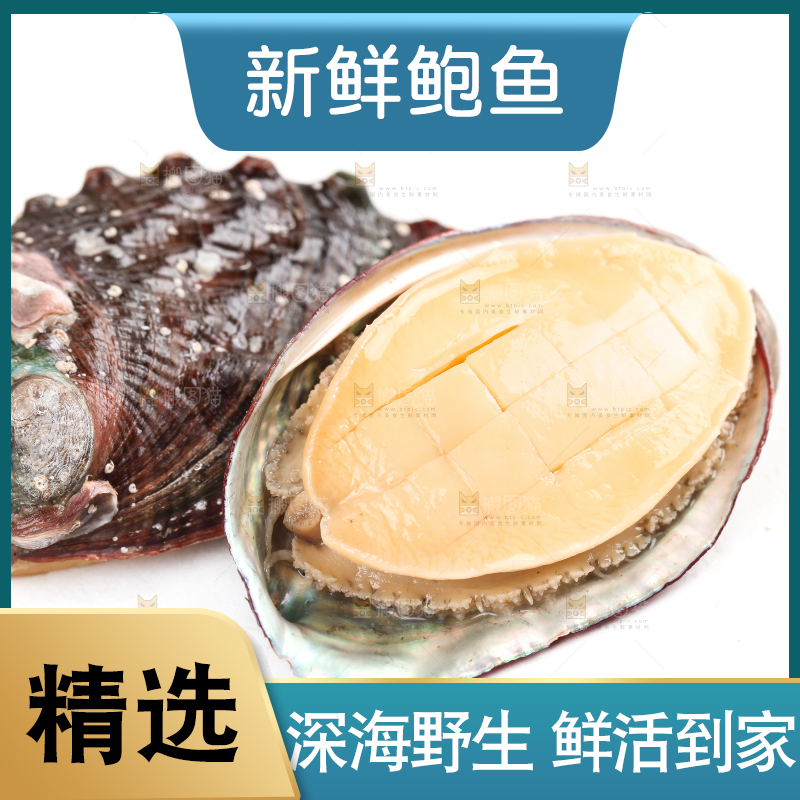 白底上放着新鲜剥开的鲜鲍鱼