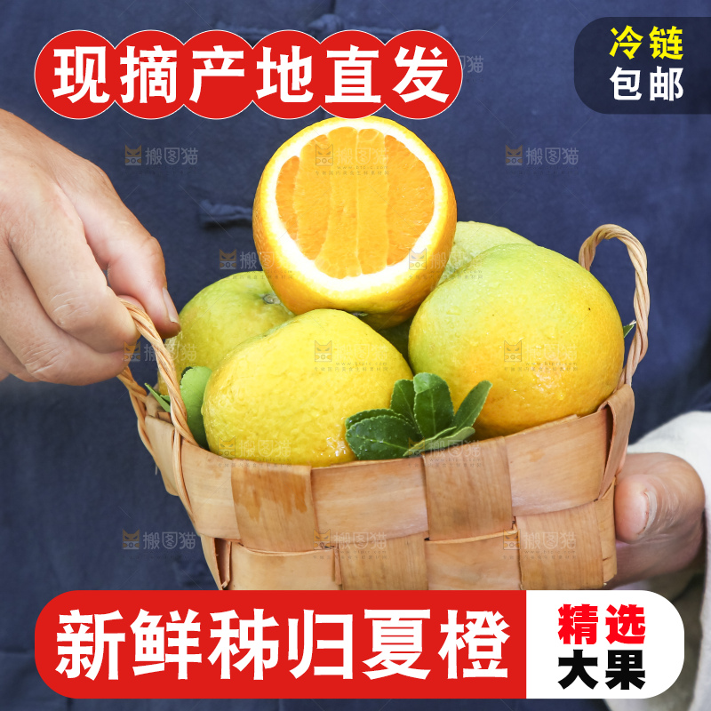 手拿一筐秭归夏橙