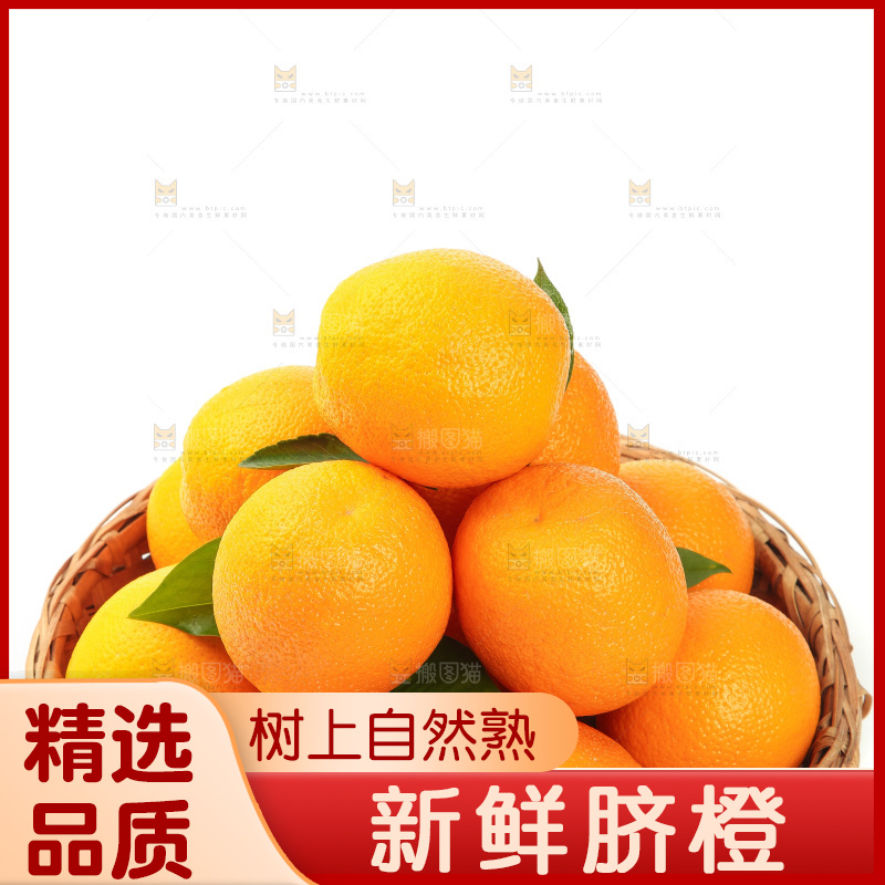 篮子里放着甜橙