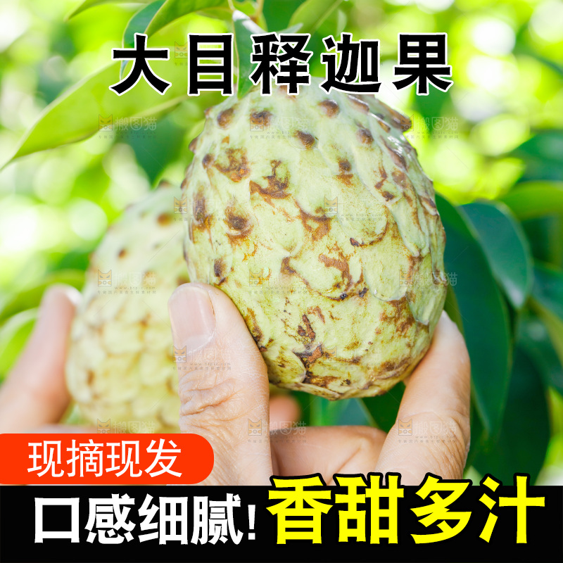 手里拿着释迦果