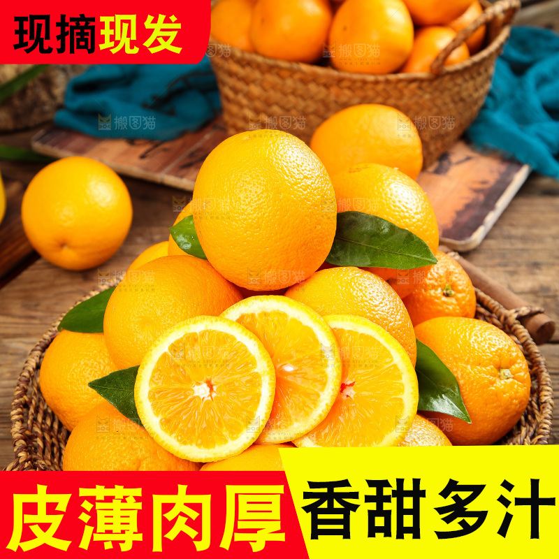 篮子里放着甜橙