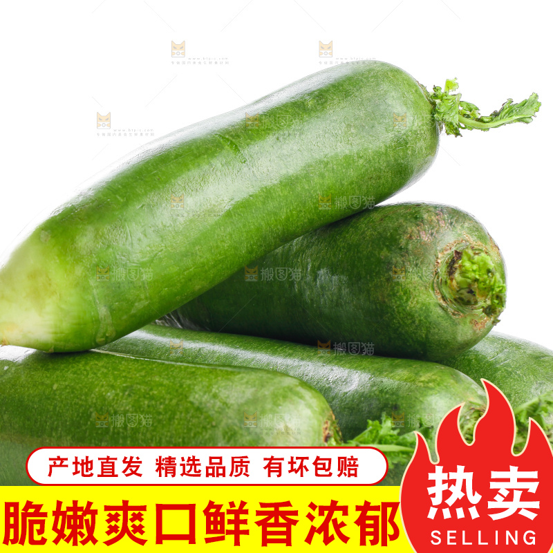 白底上摆放着绿心萝卜