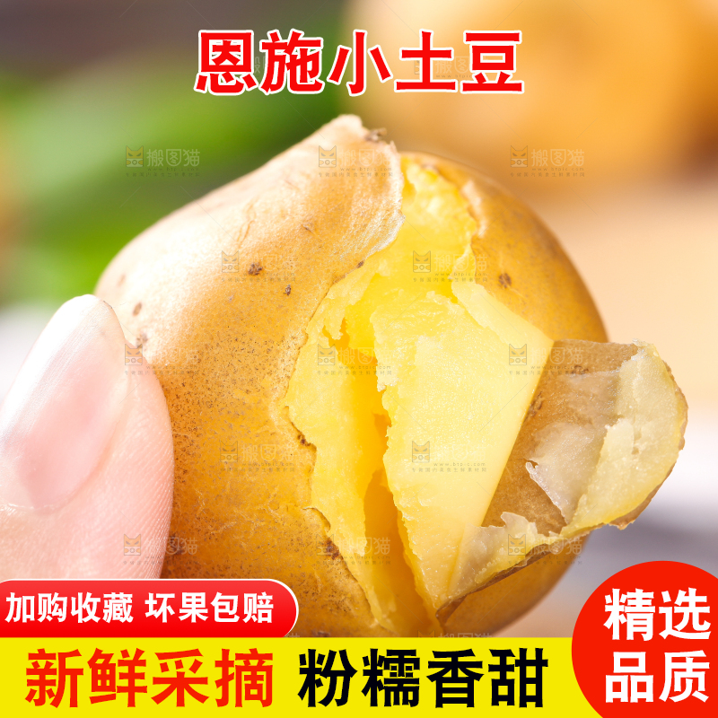 手拿黄心熟土豆