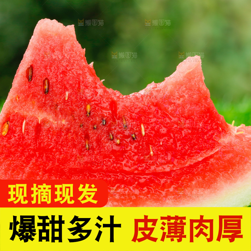 草地上放着红肉西瓜