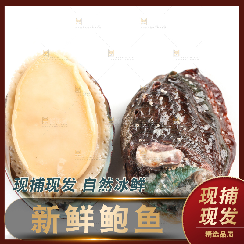白底上放着新鲜剥开的鲜鲍鱼